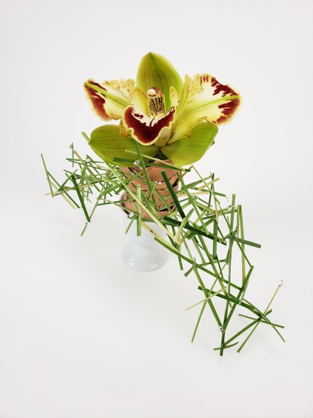 Original floral design mechanics Original floral design mechanics