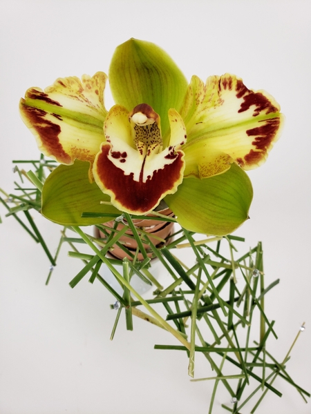 Original foam free floral design inspiration Original foam free floral design inspiration