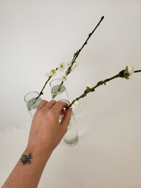 Place blossoming twigs in a vase filled with water