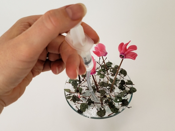 Place the flower stems in the armature and adjust the water level if needed Place the flower stems in the armature and adjust the water level if needed
