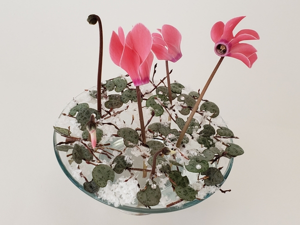 Winter floral design Winter floral design