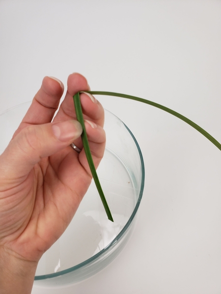 Carefully bend the grass without snapping it Carefully bend the grass without snapping it