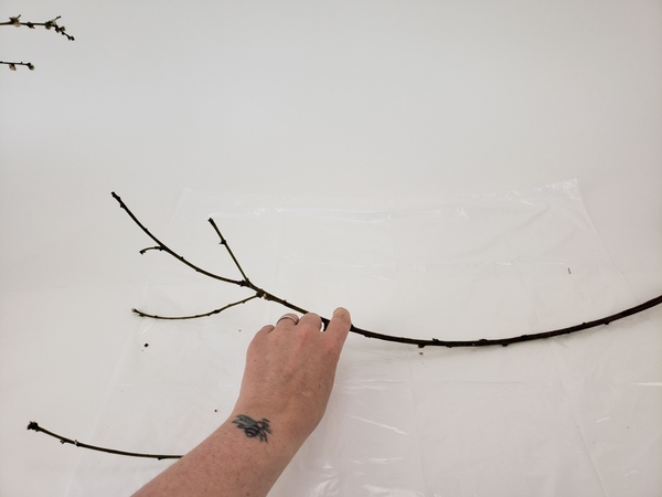 Choose sturdy twigs with a slight curve in it. Place the stem on a flat working surface. Choose sturdy twigs with a slight curve in it. Place the stem on a flat working surface.