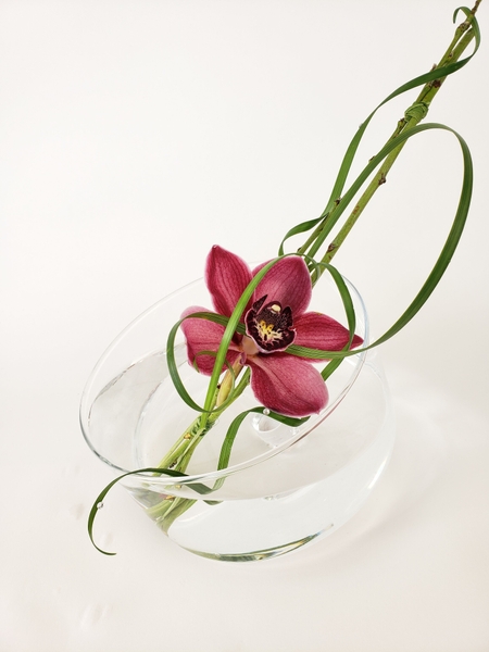 Cymbidium orchid flower arrangement Cymbidium orchid flower arrangement