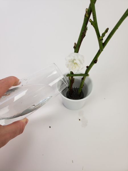 Fill the container with water to keep the blossoming twigs hydrated Fill the container with water to keep the blossoming twigs hydrated