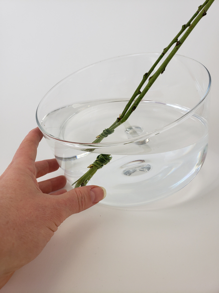 Make sure there is enough water in the container to keep the fresh floral material hydrated
