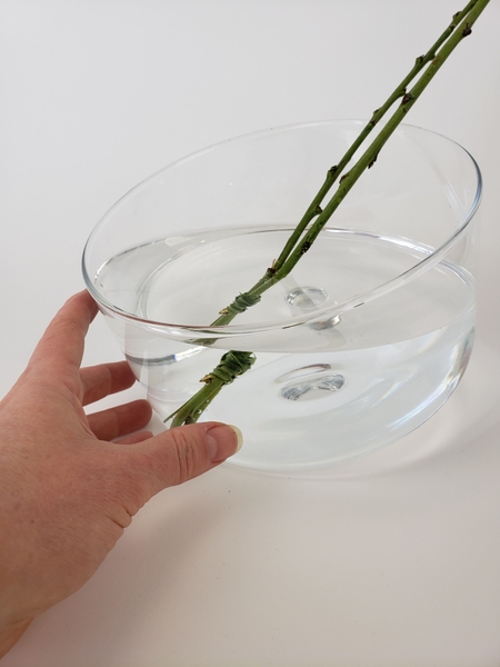 Make sure there is enough water in the container to keep the fresh floral material hydrated Make sure there is enough water in the container to keep the fresh floral material hydrated