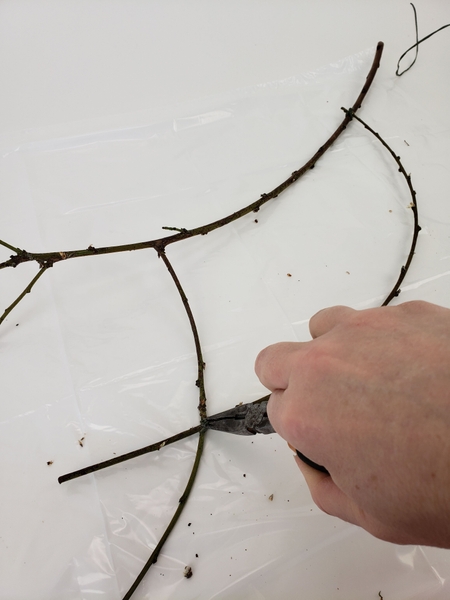 Outline the cloud shape with the twigs Outline the cloud shape with the twigs