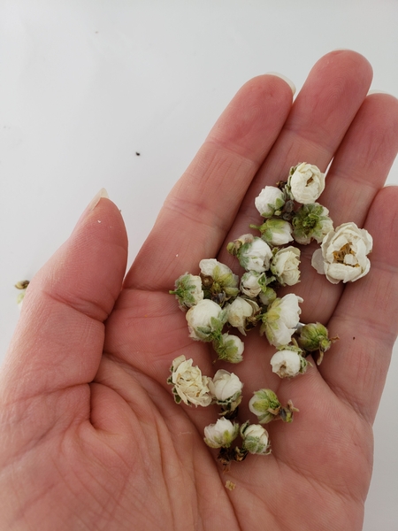Set aside a few blossoms to dry Set aside a few blossoms to dry