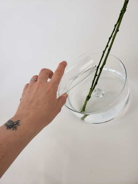 Set the twigs in the leaning lid and fill it with water Set the twigs in the leaning lid and fill it with water