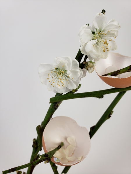 Spring blossom twig flower arrangement Spring blossom twig flower arrangement