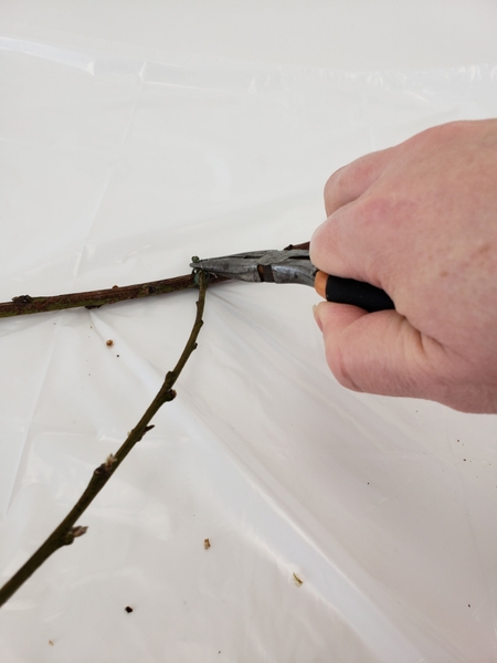 Start to wire twigs into the shape of a cloud Start to wire twigs into the shape of a cloud