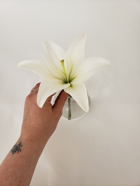 Choose a flower with a deep trumpet shape Choose a flower with a deep trumpet shape
