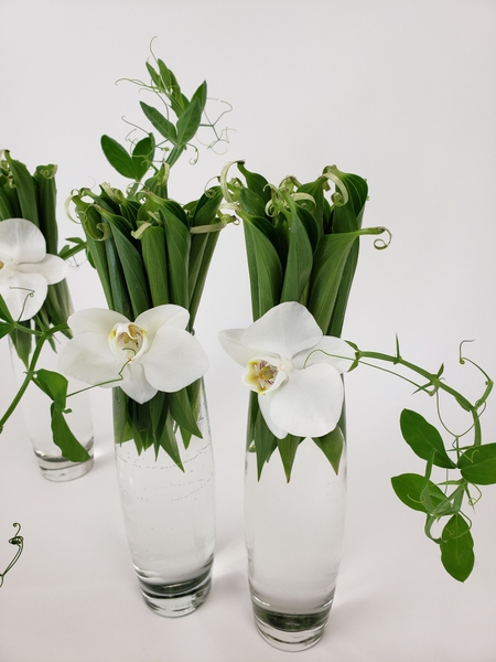 Craft a tendril-ringlet for a floral design Craft a tendril-ringlet for a floral design