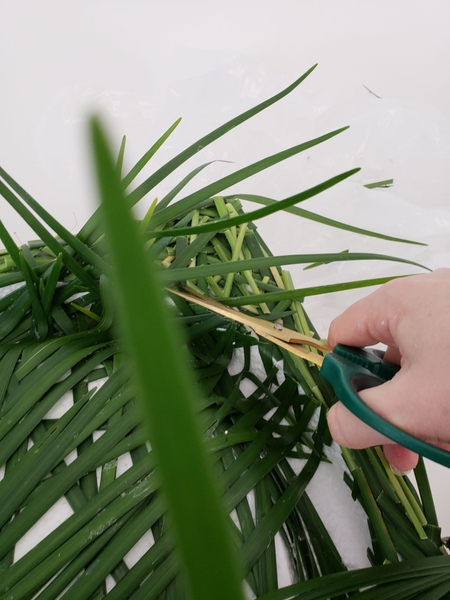 Cut any grass tips away the extend over the edge. Cut any grass tips away the extend over the edge.