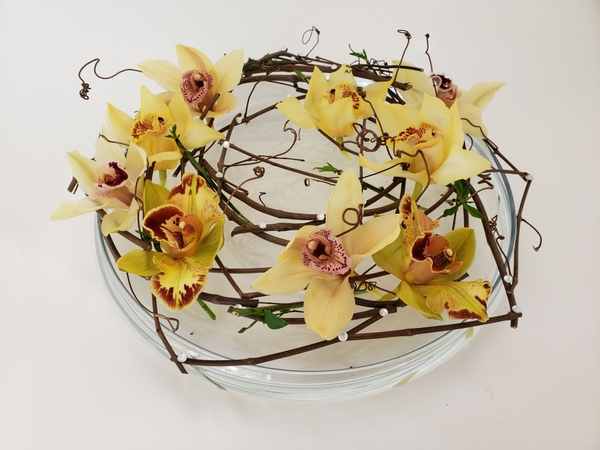 Cymbidium orchids suspended over a shallow container Cymbidium orchids suspended over a shallow container