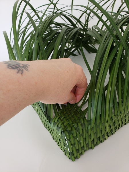 Followed by the blade of grass next to that Followed by the blade of grass next to that