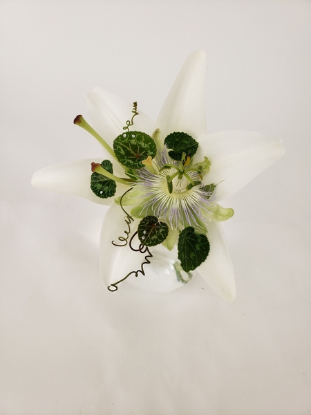 Lily and passion fruit flowers Lily and passion fruit flowers