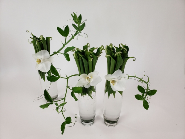 Original mechanics for flower arrangements Original mechanics for flower arrangements
