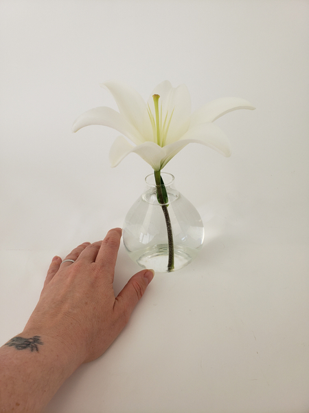Place the lily to stand facing up in a small bud vase