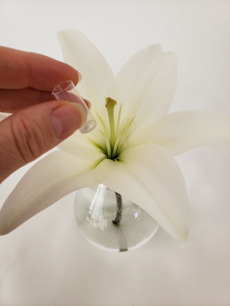 Place tiny water tubes into the trumpet of the flower
