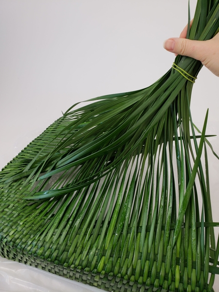 Tie the blades of grass with an elastic band to keep it neatly out of the way Tie the blades of grass with an elastic band to keep it neatly out of the way