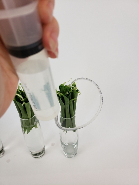 Top up the water level to make sure the fresh flower material remains hydrated for as long as possible Top up the water level to make sure the fresh flower material remains hydrated for as long as possible
