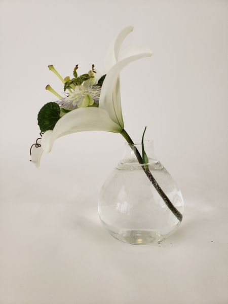 Unusual floral design mechanics Unusual floral design mechanics
