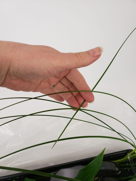 Once you have a slight grid weave in the blades of grass to loop over the design and secure under a rock