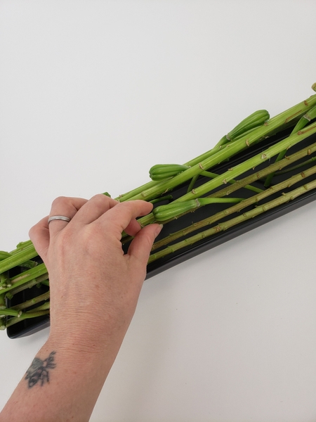 Place the seedpods in the design Place the seedpods in the design
