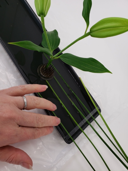 Tape the opposite side and slip the grass through Tape the opposite side and slip the grass through