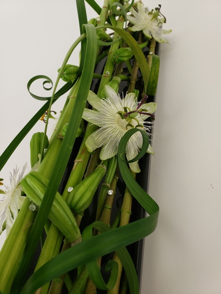 Unusual mechanics for interesting flower arrangements Unusual mechanics for interesting flower arrangements