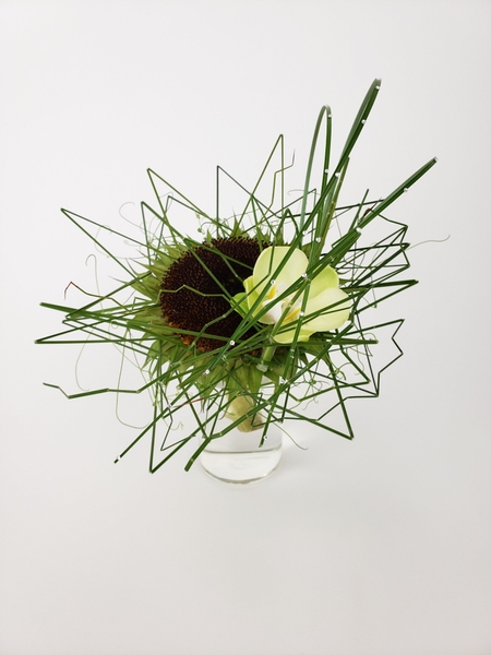 Coffee jitters flower design Coffee jitters flower design