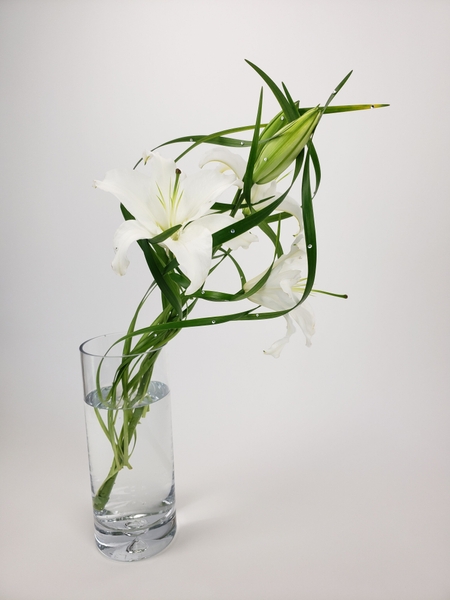 Contemporary floral art design Contemporary floral art design