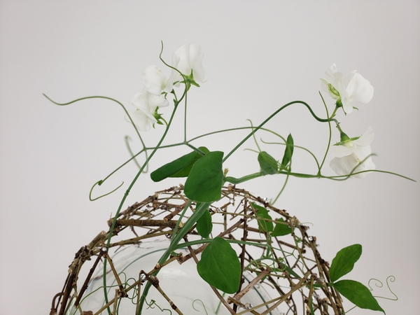 Contemporary floral design mechanics Contemporary floral design mechanics