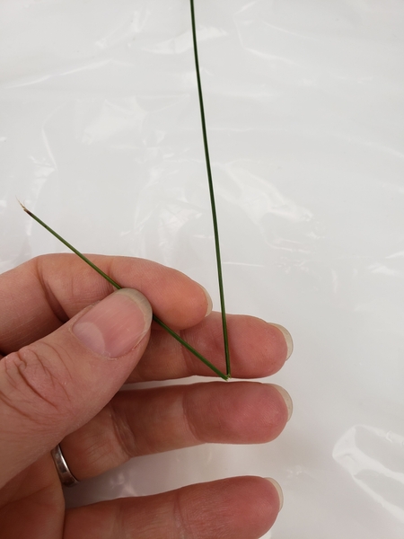Fold a blade of grass Fold a blade of grass