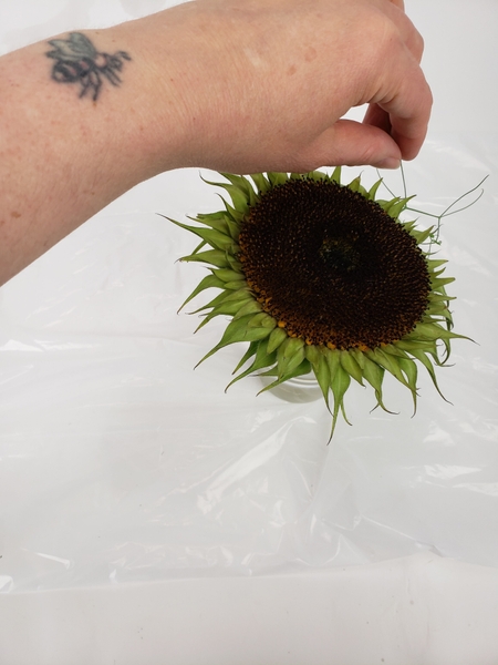 Glue in a fine collar of tendrils to the flower head Glue in a fine collar of tendrils to the flower head