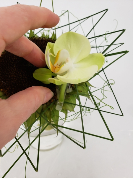 Glue the tubes to the sunflower Glue the tubes to the sunflower