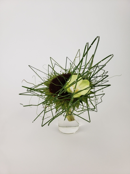 Jitters floral art design Jitters floral art design