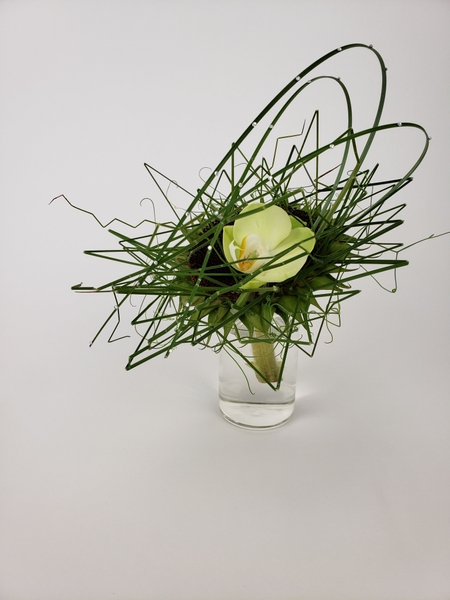 Phalaenopsis orchid and sunflower contemporary floral design Phalaenopsis orchid and sunflower contemporary floral design