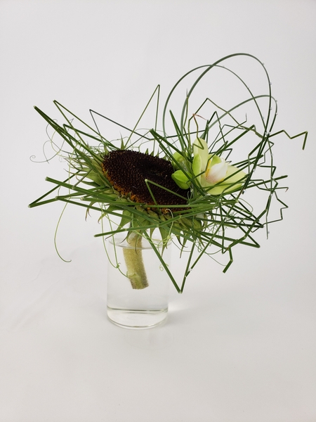 Phalaenopsis orchid and sunflower contemporary flower arrangement Phalaenopsis orchid and sunflower contemporary flower arrangement