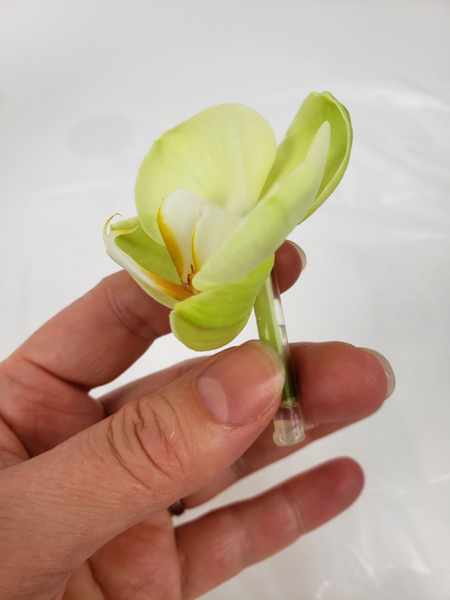 Place the orchid in a drinking straw water tube