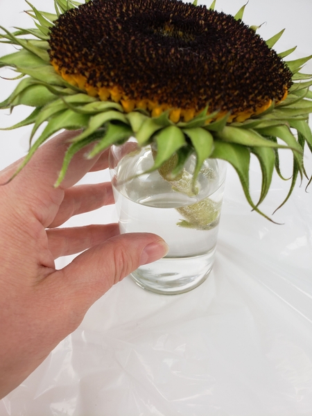 Place the sunflower in a bud vase Place the sunflower in a bud vase