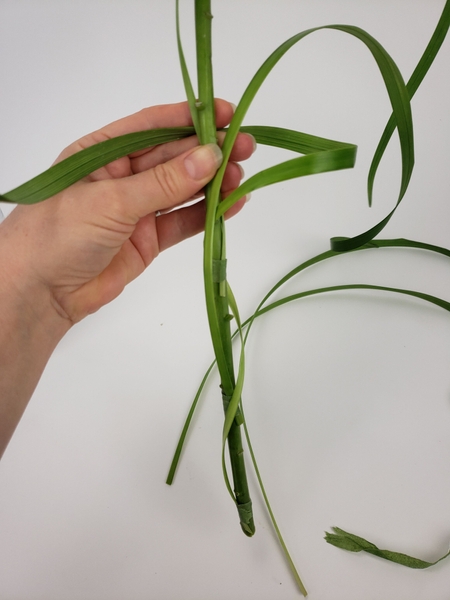 Start to twirl and spiral the grass loosely around the stem Start to twirl and spiral the grass loosely around the stem