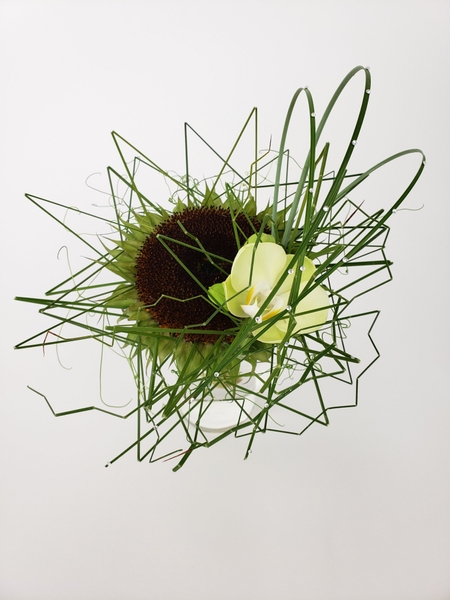 Sunflower and orchid floral design Sunflower and orchid floral design