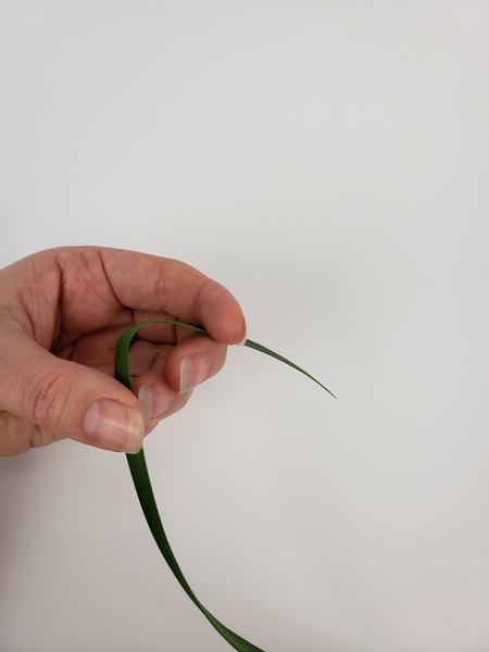 The tip of the grass rolls over without offering any resistance The tip of the grass rolls over without offering any resistance