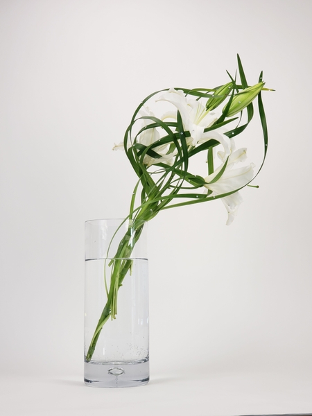 Up to much Floral art design Up to much Floral art design