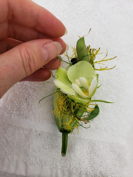Add in tendrils and pods and lichen Add in tendrils and pods and lichen