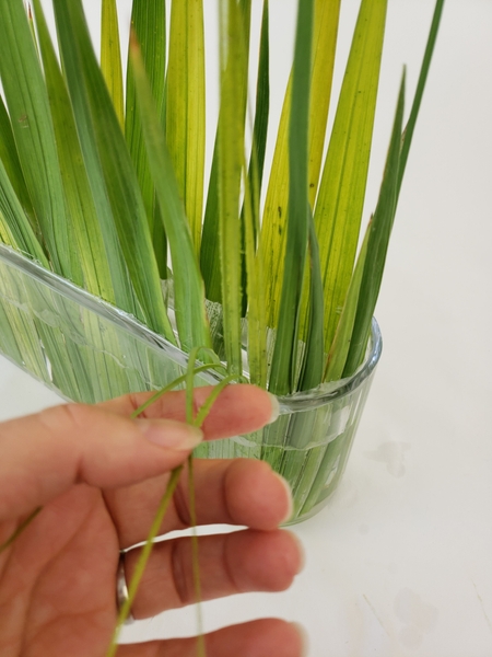 Creating thin dangling strips of foliage all the way around the container Creating thin dangling strips of foliage all the way around the container