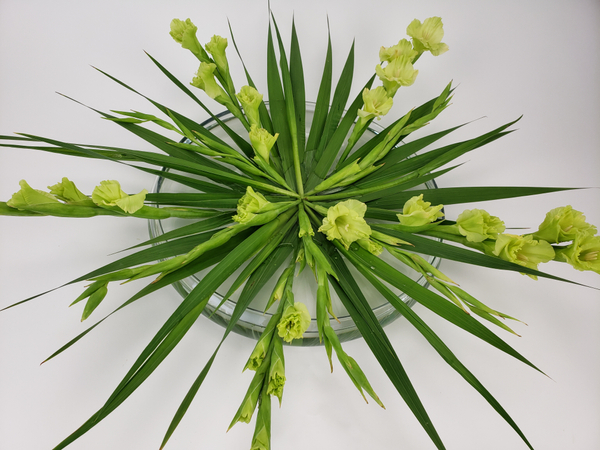 Cut Gladiolus flower spikes arrange in a shallow container